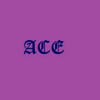 ACE - Coin Collector Game怎么安装