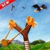 Bird Hunting Slingshot 3D Shooting安全下载