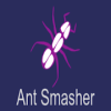 Ant Smasher-Kill the ant, mosquito and ghosts