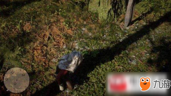 荒野大镖客2第三章雷蒙德角劫掠小屋任务完成流程一览