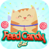 Feed Candy Cat无法打开