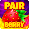 PairBerry如何升级版本