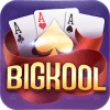 Bigkool 2019玩不了怎么办