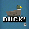 Duck! Duck! Duck!破解版下载