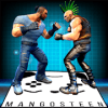 Punk Fights AR