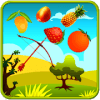 Fruit Shooting