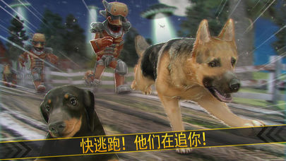 我的宠物狗狗农场保卫赛跑好玩吗 我的宠物狗狗农场保卫赛跑玩法简介