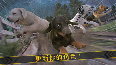 我的宠物狗狗农场保卫赛跑好玩吗 我的宠物狗狗农场保卫赛跑玩法简介