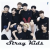 STRAY KIDS: Matching Game费流量吗