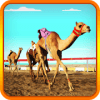 Camel Race 2018 3D