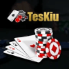 Teskiu费流量吗
