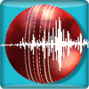 Snickometer : Cricket Prediction Tool官方版免费下载