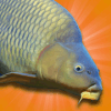 Carp Fishing Simulator (DEMO Version)版本更新