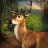 Deer Hunt Reloaded 2019 : New Classic FPS Shooter版本更新