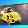 Driving Learning Sim 3D- Driving Looks Easier 2019