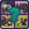 animal quiz guess the animal name