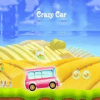 crazy car roo