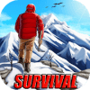 Winter Survivor 3D安卓版下载