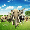 Animal Kingdom Battle Simulator Games RTS 2019官方版免费下载