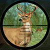 Forest Deer Hunting绿色版下载