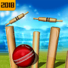 Top Cricket Ball Slope Game无法打开