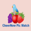 Cheernow Pictures Match如何升级版本