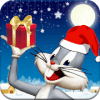 Looney Bunny: Toons Run Dash破解版下载