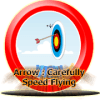 Arrow : Flying Carefully