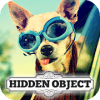 Hidden Object - Travelling Pets