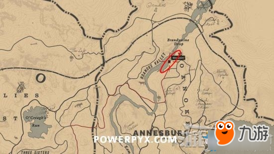 《荒野大镖客2》双冠鸬鹚位置及狩猎方法介绍