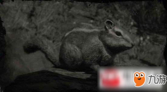 荒野大鏢客2西部花鼠位置詳情及狩獵方法一覽