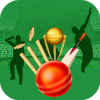 BBL Cricket Prediction无法打开