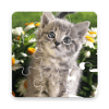 Jigsaw Puzzle - Cats and Dogs