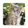 Jigsaw Puzzle - Cats and Dogs最新版下载