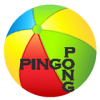 Pingo Pong Game装备大全