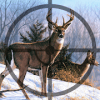 Wild Deer Hunt Animal Simulator