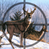 Wild Deer Hunt Animal Simulator费流量吗