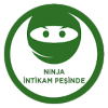 Ninjanın İntikamı破解版下载