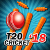 T20 Cricket 2017