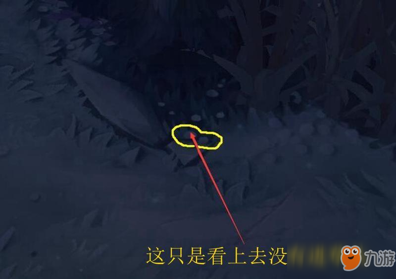 《LOL》打野輔助必學(xué)的眼位介紹