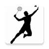 Demo Badminton官网