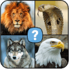 Animals quiz: Mammals, Reptiles, Birds, Fishes官方下载