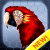 Birds color number: Pixel art bird coloring 2019快速下载