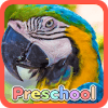 Wild Animal Preschool Games终极版下载