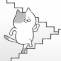 猫咪阶梯