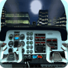 Real Pilot Flight Simulation