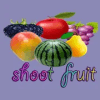 shoot fruit破解版下载