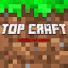 Top Craft : Exploration & Survival快速下载