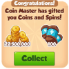 Master of Spin And Coins