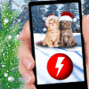 Pocket Christmas Cats破解版下载